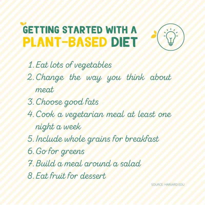 Plant Based Diet For Beginners: Getting Started With a Plant Based Diet - Root Kitchen UK