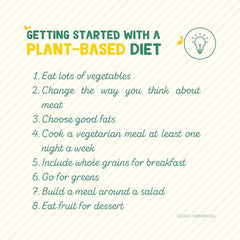 Plant Based Diet For Beginners: Getting Started With a Plant Based Diet - Root Kitchen UK