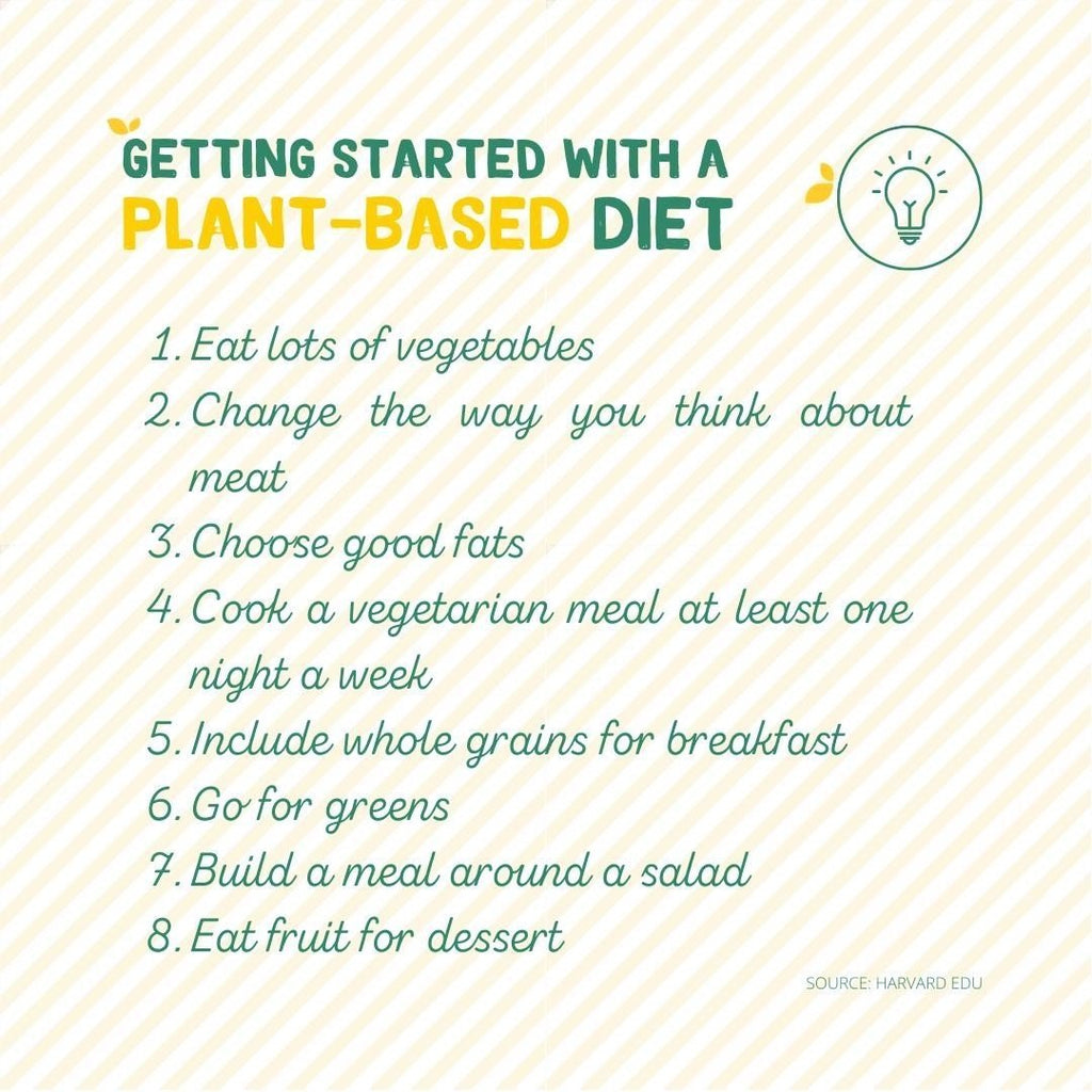 Plant Based Diet For Beginners: Getting Started With a Plant Based Diet ...