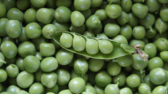 Give Peas A Chance - Root Kitchen UK